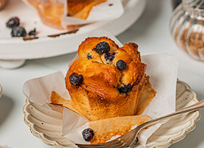 Blueberry Muffin