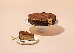 Tiramisu Gateau